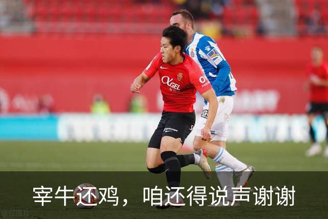 宰牛还鸡，咱还得说声谢谢